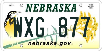 NE license plate WXG877