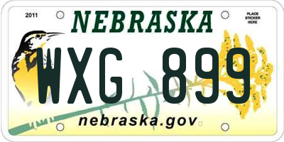 NE license plate WXG899