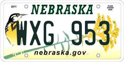 NE license plate WXG953
