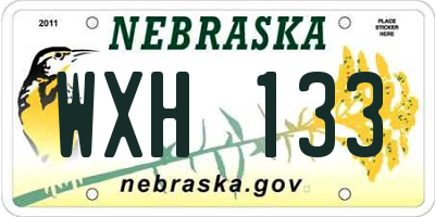 NE license plate WXH133