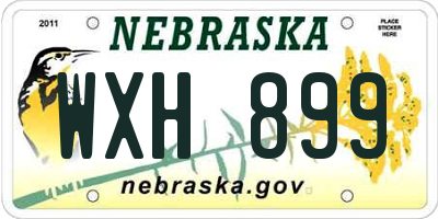 NE license plate WXH899