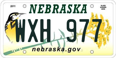 NE license plate WXH977