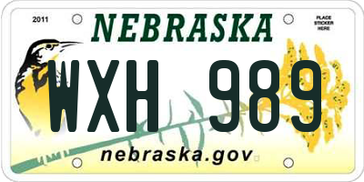 NE license plate WXH989