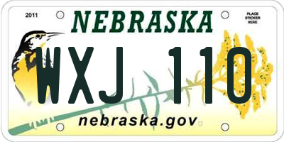 NE license plate WXJ110