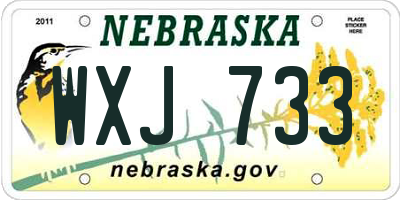 NE license plate WXJ733
