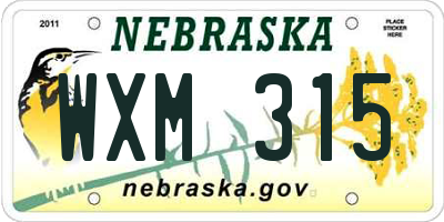 NE license plate WXM315
