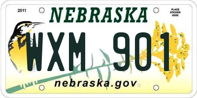NE license plate WXM901