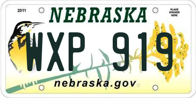 NE license plate WXP919