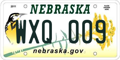 NE license plate WXQ009