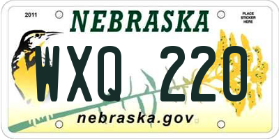 NE license plate WXQ220