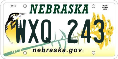 NE license plate WXQ243