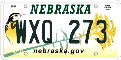 NE license plate WXQ273