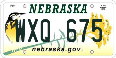 NE license plate WXQ675