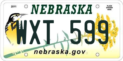 NE license plate WXT599