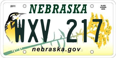 NE license plate WXV217