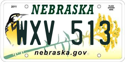 NE license plate WXV513