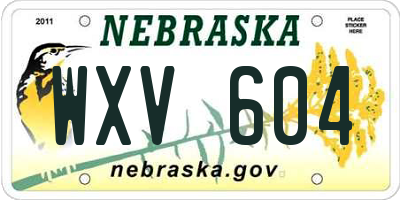 NE license plate WXV604