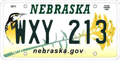 NE license plate WXY213