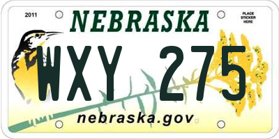 NE license plate WXY275