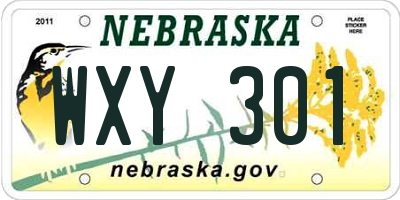 NE license plate WXY301