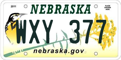 NE license plate WXY377