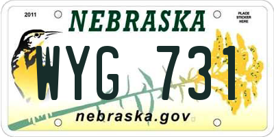 NE license plate WYG731