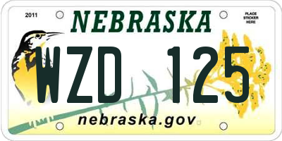 NE license plate WZD125