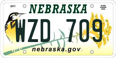 NE license plate WZD709