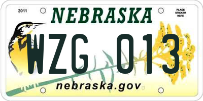 NE license plate WZG013
