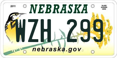 NE license plate WZH299