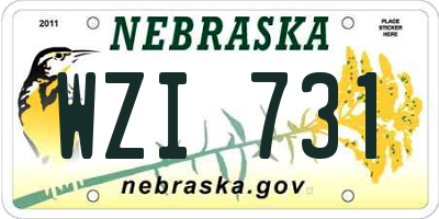 NE license plate WZI731