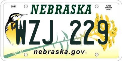 NE license plate WZJ229