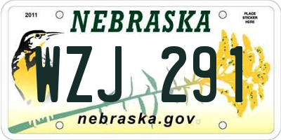 NE license plate WZJ291