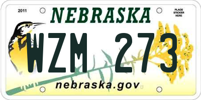 NE license plate WZM273