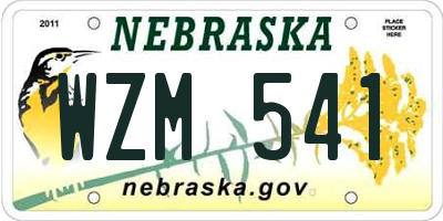 NE license plate WZM541