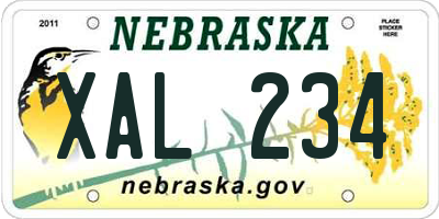 NE license plate XAL234