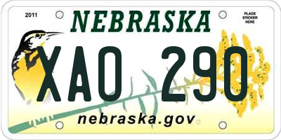 NE license plate XAO290