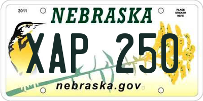 NE license plate XAP250