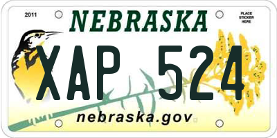 NE license plate XAP524