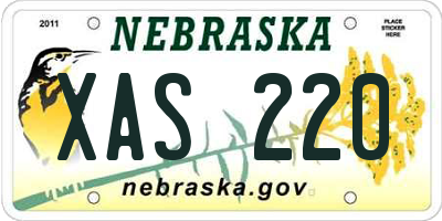 NE license plate XAS220