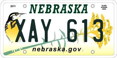NE license plate XAY613
