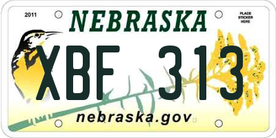 NE license plate XBF313
