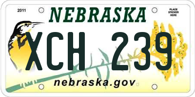 NE license plate XCH239