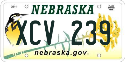 NE license plate XCV239