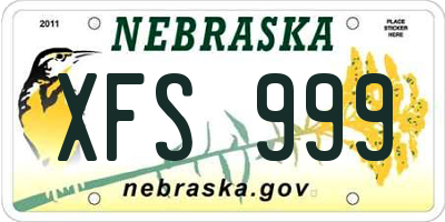 NE license plate XFS999