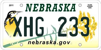 NE license plate XHG233