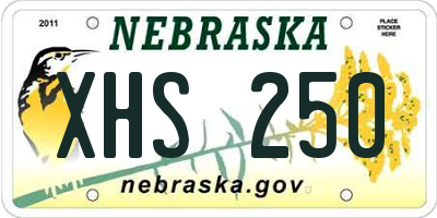 NE license plate XHS250
