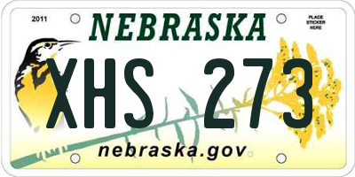 NE license plate XHS273