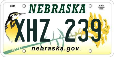 NE license plate XHZ239
