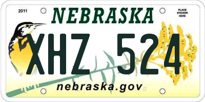 NE license plate XHZ524